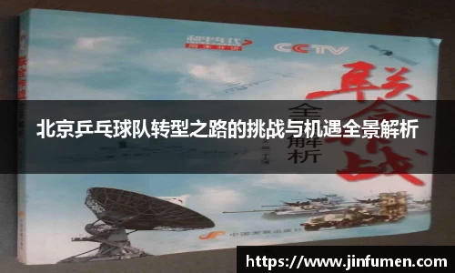 北京乒乓球队转型之路的挑战与机遇全景解析
